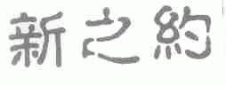 新之约