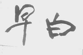 早白