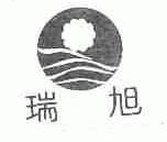 瑞旭