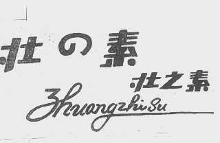 壮之素