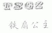 铁扇公主;TSGZ