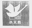 小天鹅    LITTLI SWAN