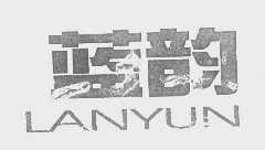 蓝韵