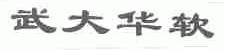 武大华软