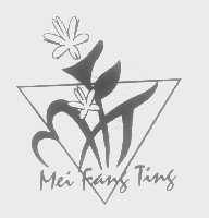 MEI FANG TING
