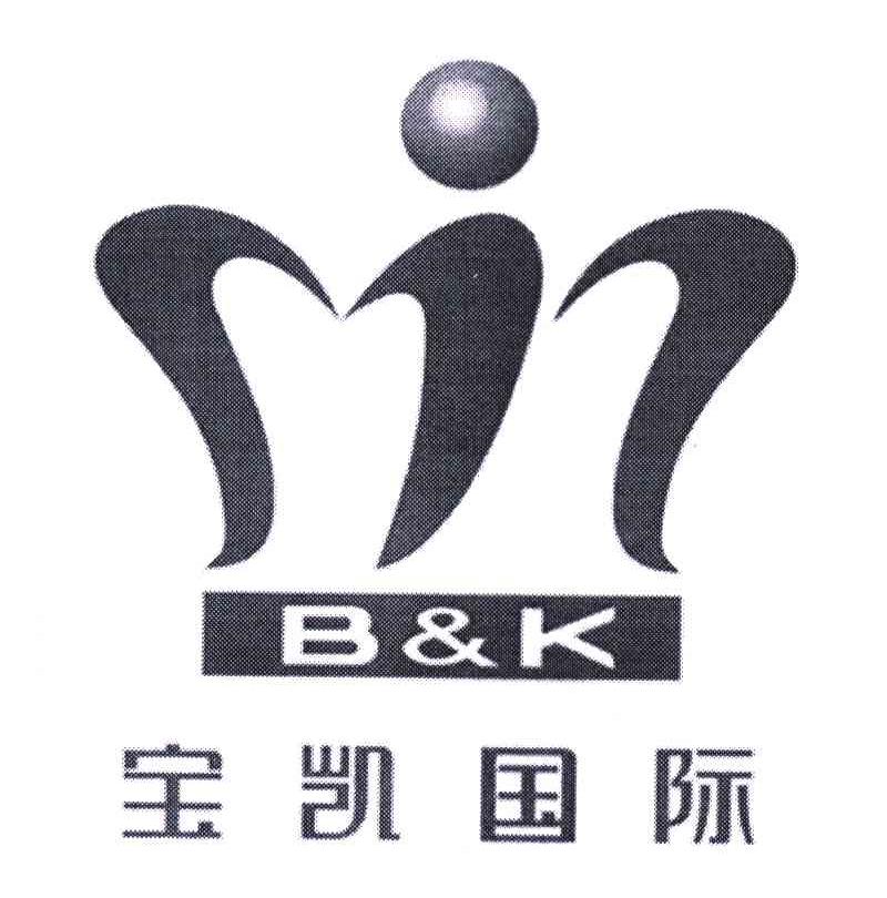 宝凯国际;B&K