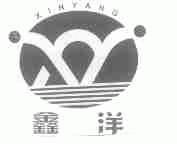 鑫洋