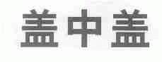 盖中盖