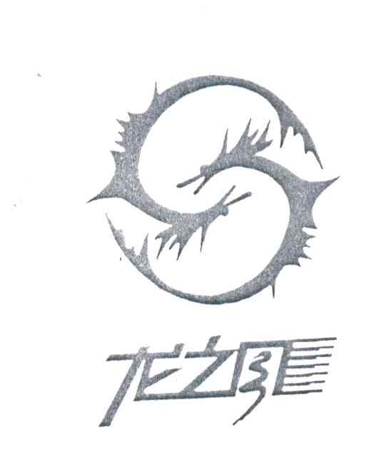 龙之风