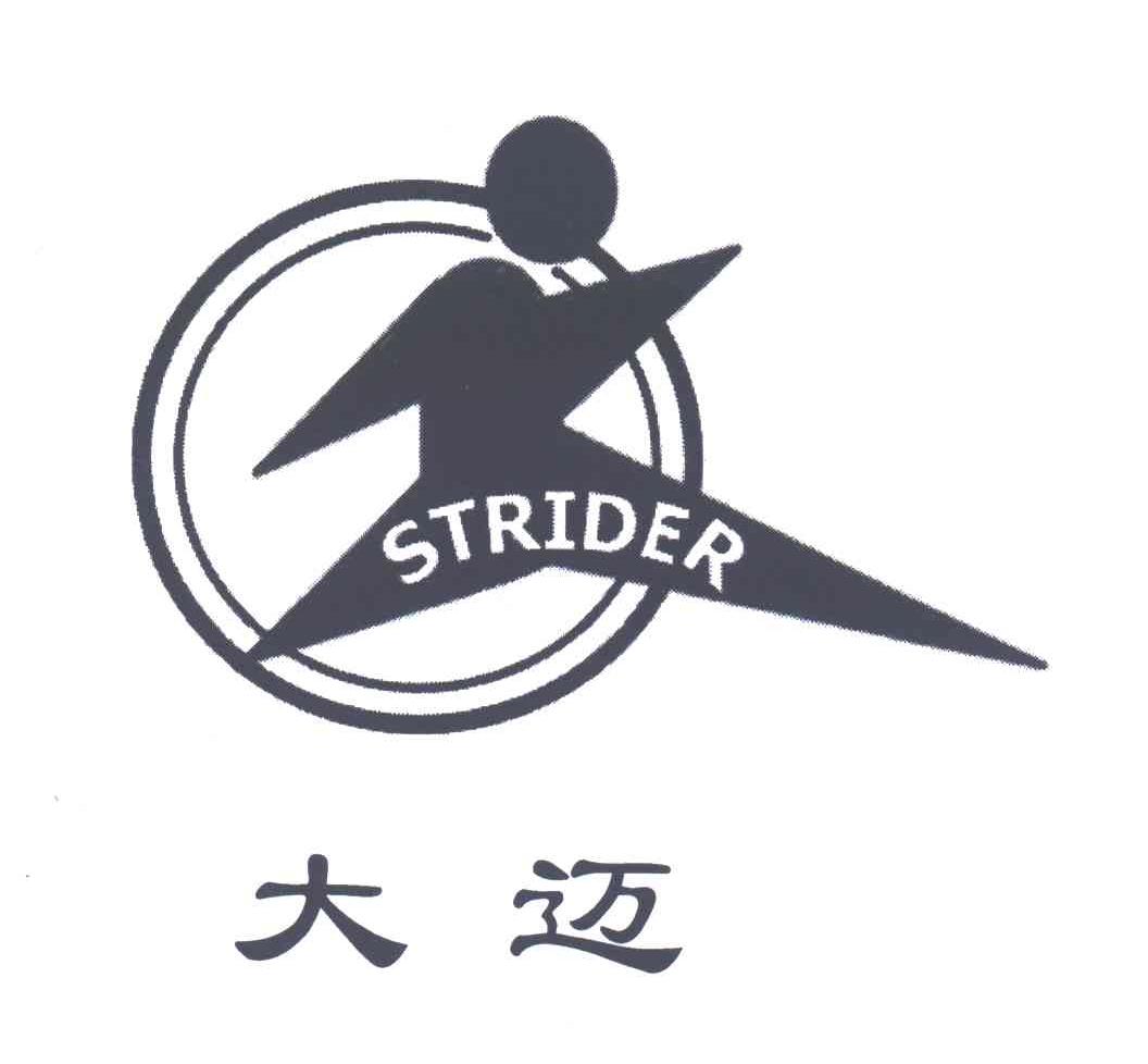 大迈;STRIDER