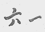 六一
