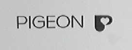 PIGEON