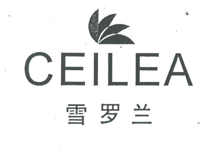 雪罗兰