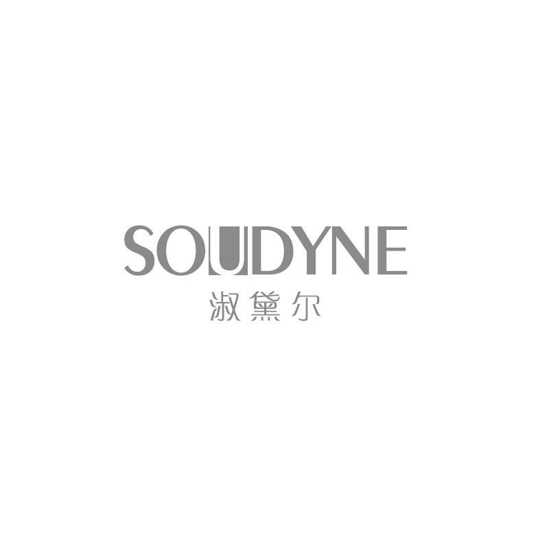 淑黛尔 SOUDYNE