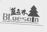 蓝森林   BLUESAIN