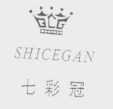 七彩冠   SHICEGAN