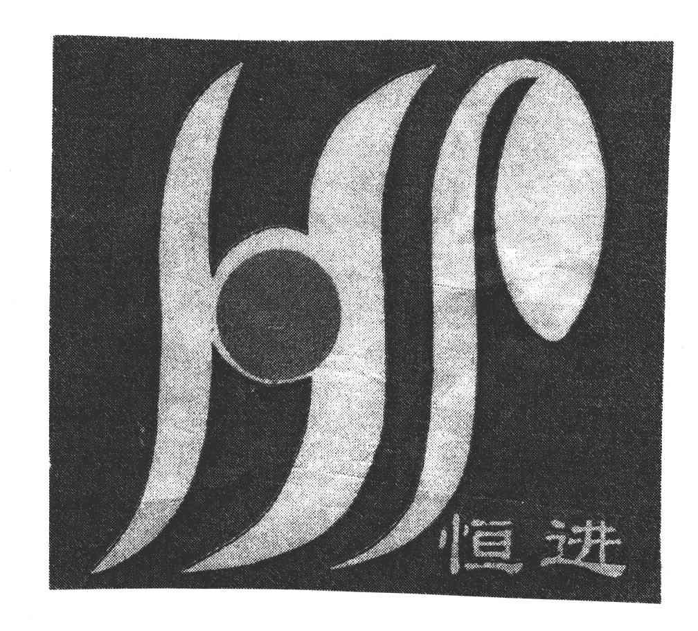 恒进
