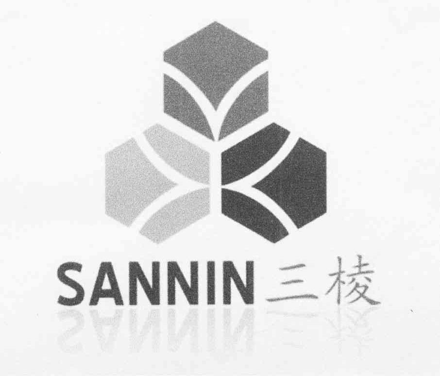 三棱 SANNIN