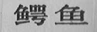 鳄鱼