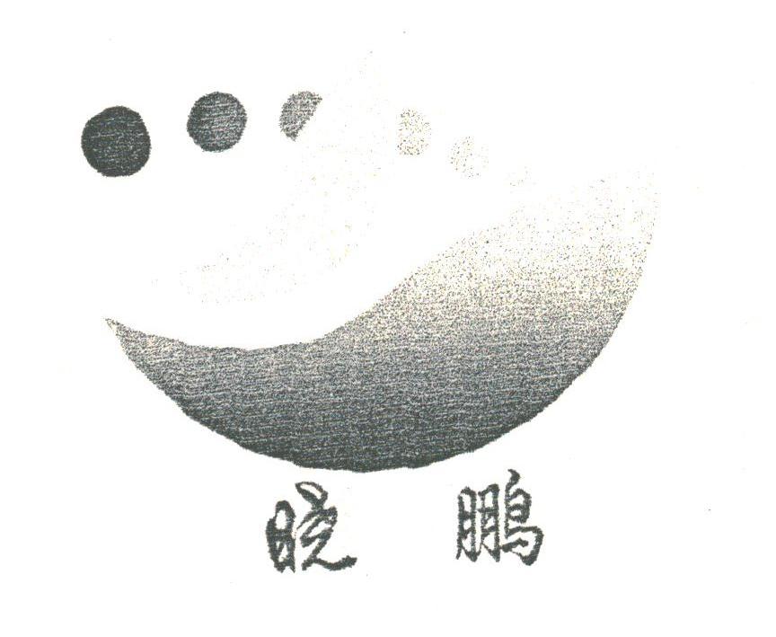 晓鹏