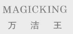 万洁王   MAGICKING