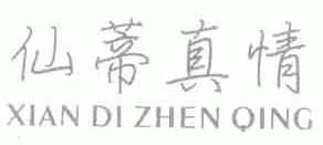 仙蒂真情