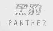 黑豹    PANTHER