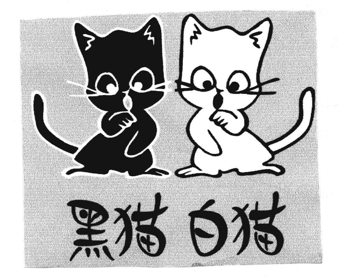黑猫白猫