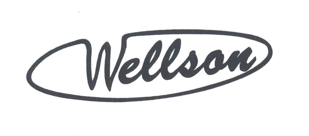 WELLSON