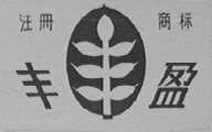丰盈