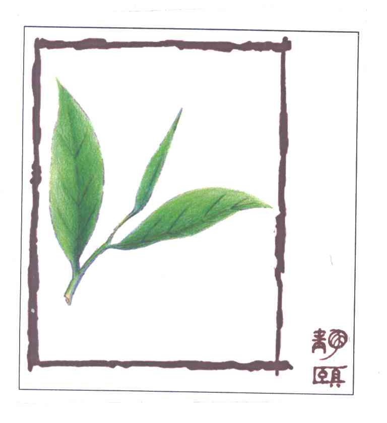 静颐