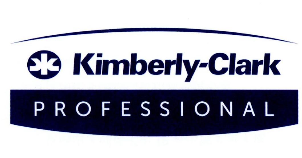 KIMBERLY-CLARK PROFESSIONAL