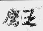 鹰王