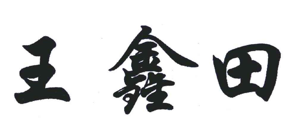 王鑫田