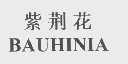 紫荆花   BAUHINIA