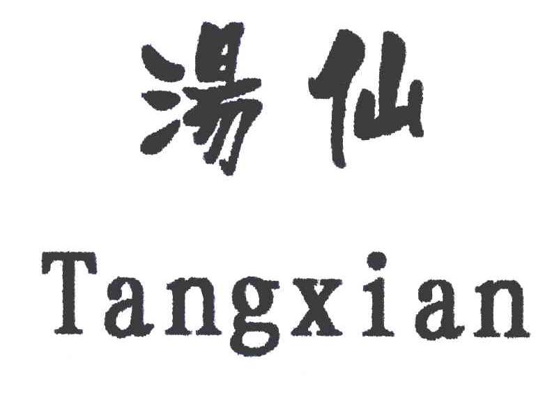 汤仙