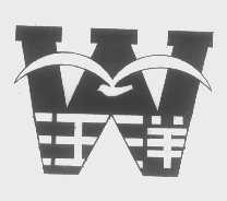 汪洋