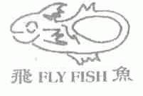 飞鱼;FLY FISH