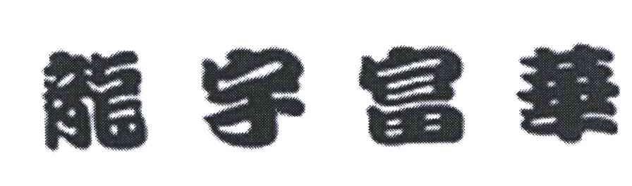 龙宇富华