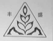丰盛
