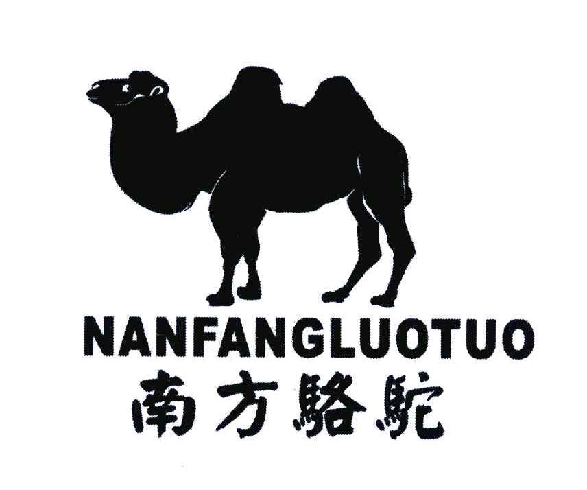 南方骆驼