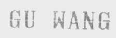 GU WANG