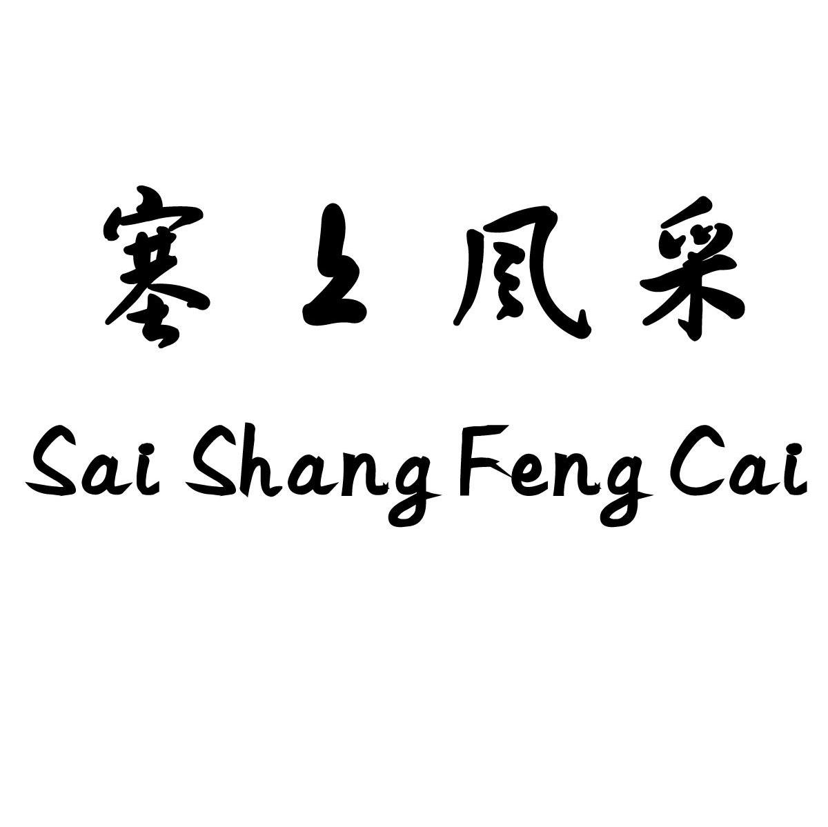 塞上风采