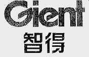 智得;GIENT