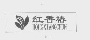 红香椿