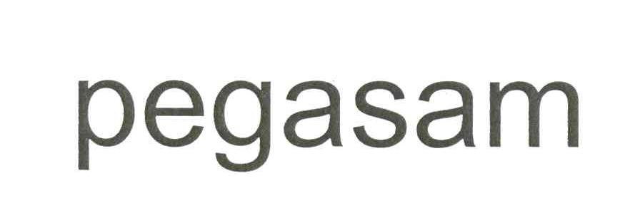 PEGASAM
