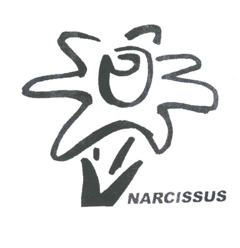 NARCISSUS