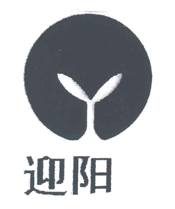 迎阳