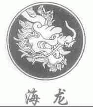 海龙