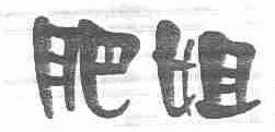 肥姐